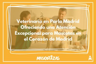 Veterinario en Parla Madrid Ofreciendo una Atención Excepcional para Mascotas en el Corazón de Madrid